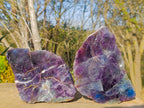 Polished One Side Watermelon Fluorite Slices x 2 From Uis, Namibia