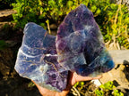 Polished One Side Watermelon Fluorite Slices x 2 From Uis, Namibia