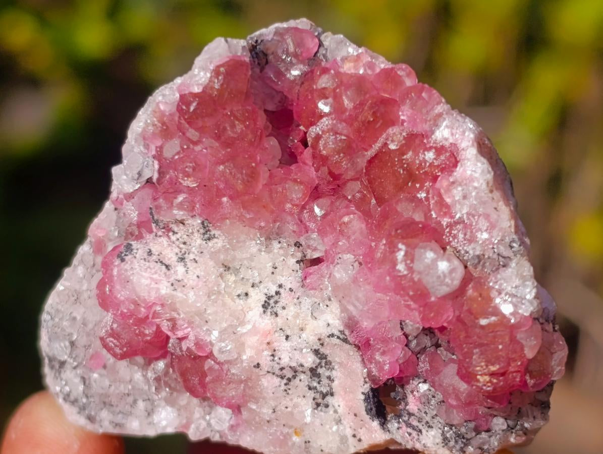 Natural Spherocobaltite Specimens x 12 From Musonoi Mine, Congo