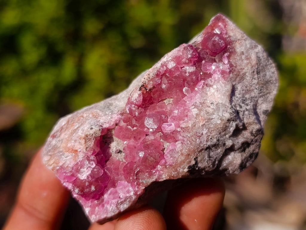Natural Spherocobaltite Specimens x 12 From Musonoi Mine, Congo