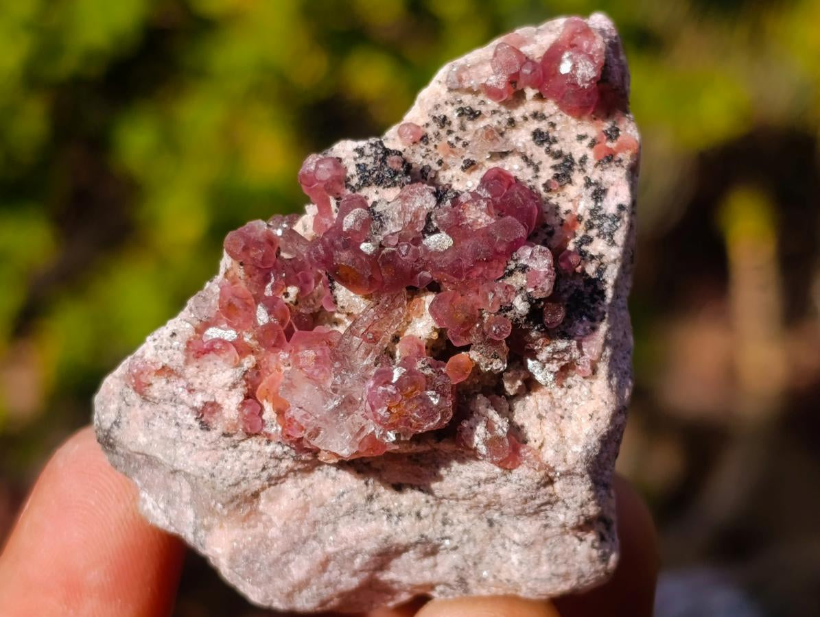 Natural Spherocobaltite Specimens x 12 From Musonoi Mine, Congo