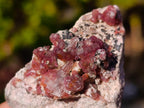 Natural Spherocobaltite Specimens x 12 From Musonoi Mine, Congo