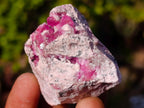 Natural Spherocobaltite Specimens x 12 From Musonoi Mine, Congo