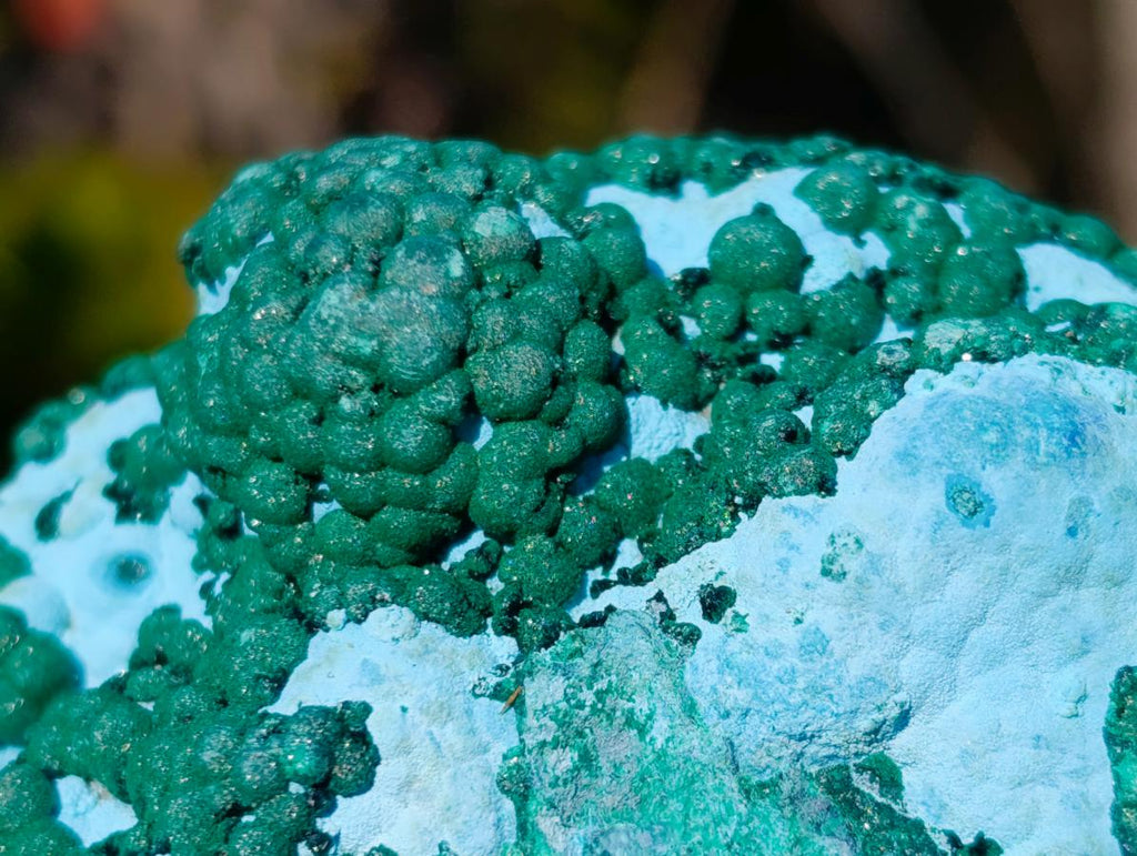 Natural Large Botryoidal Chrysocolla Specimen with Ball Malachite x 1 From Congo