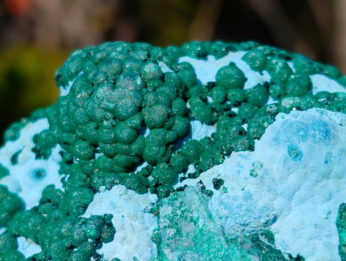 Natural Large Botryoidal Chrysocolla Specimen with Ball Malachite x 1 From Congo