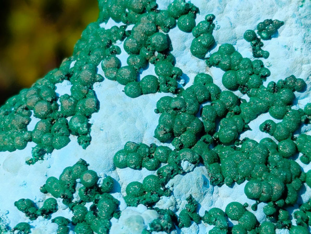 Natural Large Botryoidal Chrysocolla Specimen with Ball Malachite x 1 From Congo
