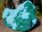 Natural Large Botryoidal Chrysocolla Specimen with Ball Malachite x 1 From Congo