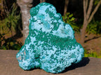 Natural Large Botryoidal Chrysocolla Specimen with Ball Malachite x 1 From Congo