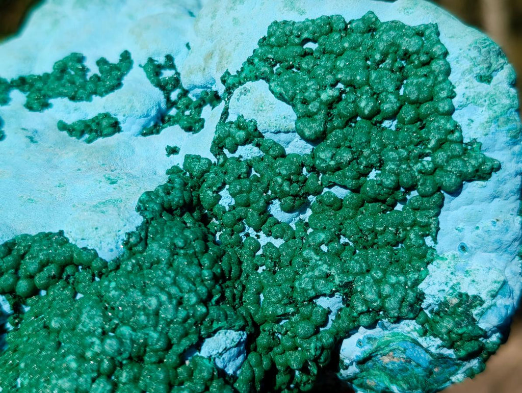 Natural Large Botryoidal Chrysocolla Specimen with Ball Malachite x 1 From Congo