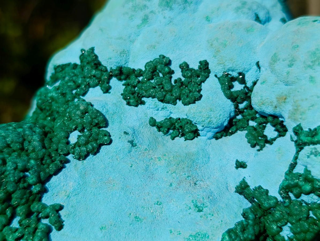 Natural Large Botryoidal Chrysocolla Specimen with Ball Malachite x 1 From Congo