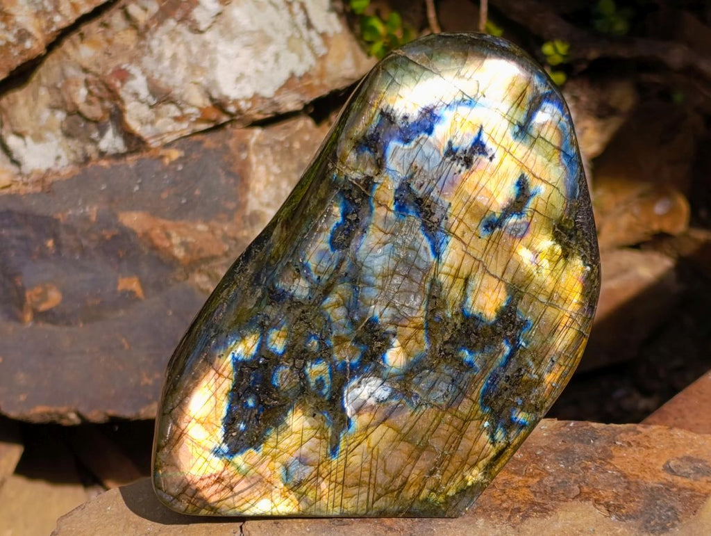 Polished Large Labradorite Standing Display Piece x 1 From Madagascar