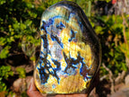Polished Large Labradorite Standing Display Piece x 1 From Madagascar