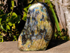 Polished Large Labradorite Standing Display Piece x 1 From Madagascar