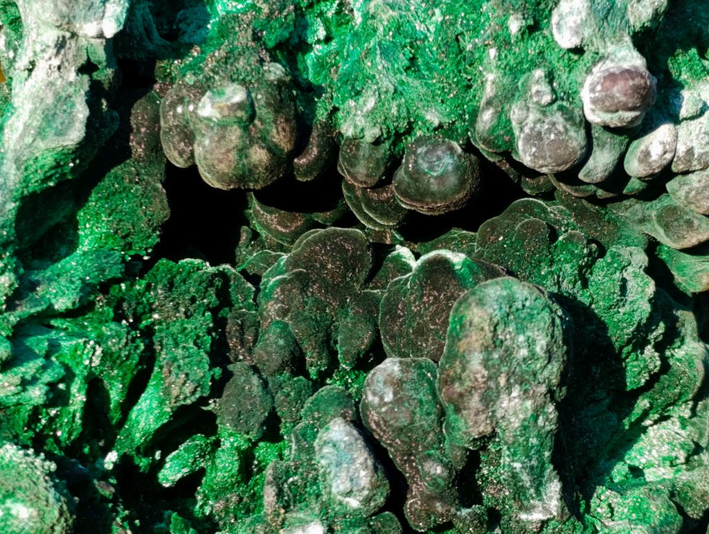 Natural Large Silky Malachite Specimen x 1 From Kasompe, Congo