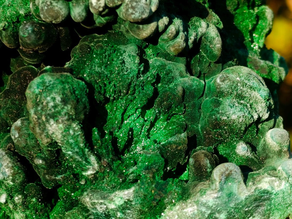 Natural Large Silky Malachite Specimen x 1 From Kasompe, Congo