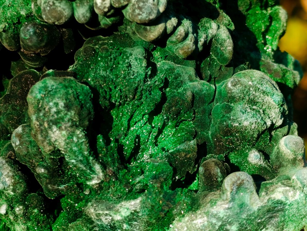Natural Large Silky Malachite Specimen x 1 From Kasompe, Congo