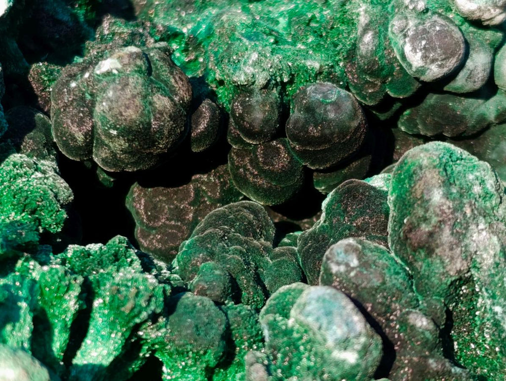 Natural Large Silky Malachite Specimen x 1 From Kasompe, Congo