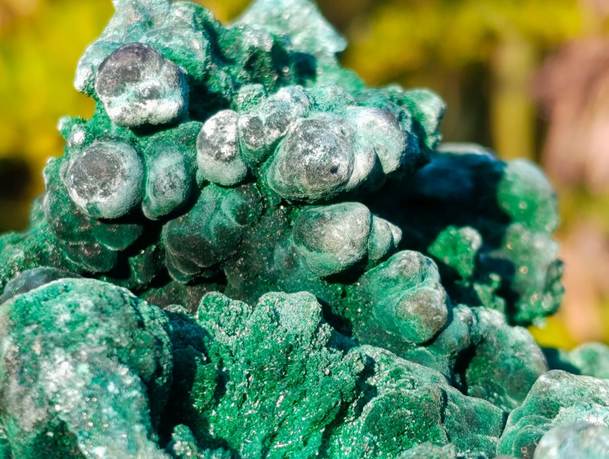 Natural Large Silky Malachite Specimen x 1 From Kasompe, Congo