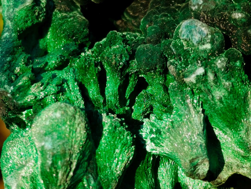 Natural Large Silky Malachite Specimen x 1 From Kasompe, Congo