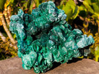 Natural Large Silky Malachite Specimen x 1 From Kasompe, Congo