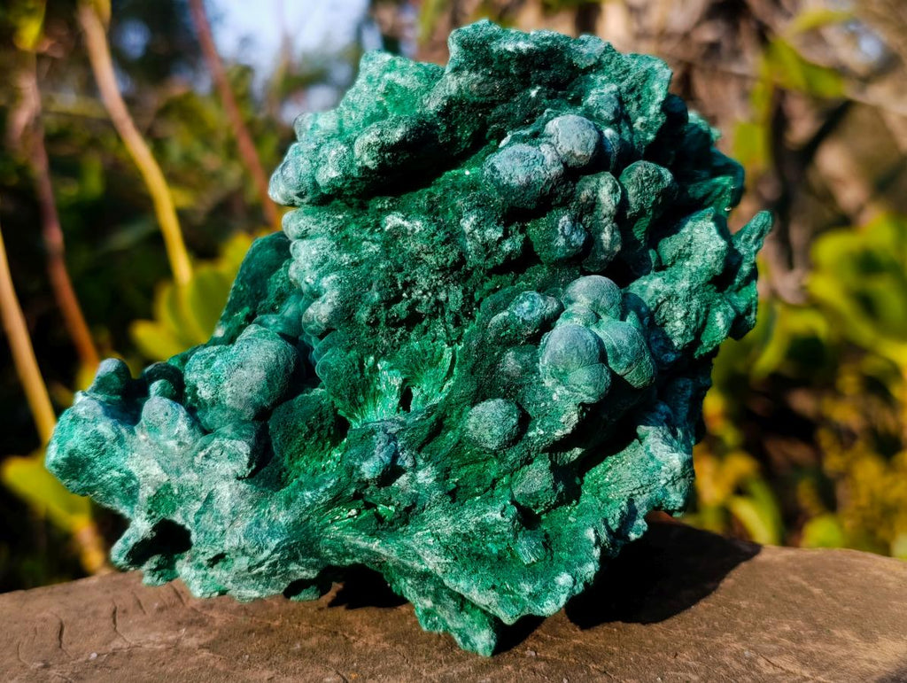 Natural Large Silky Malachite Specimen x 1 From Kasompe, Congo
