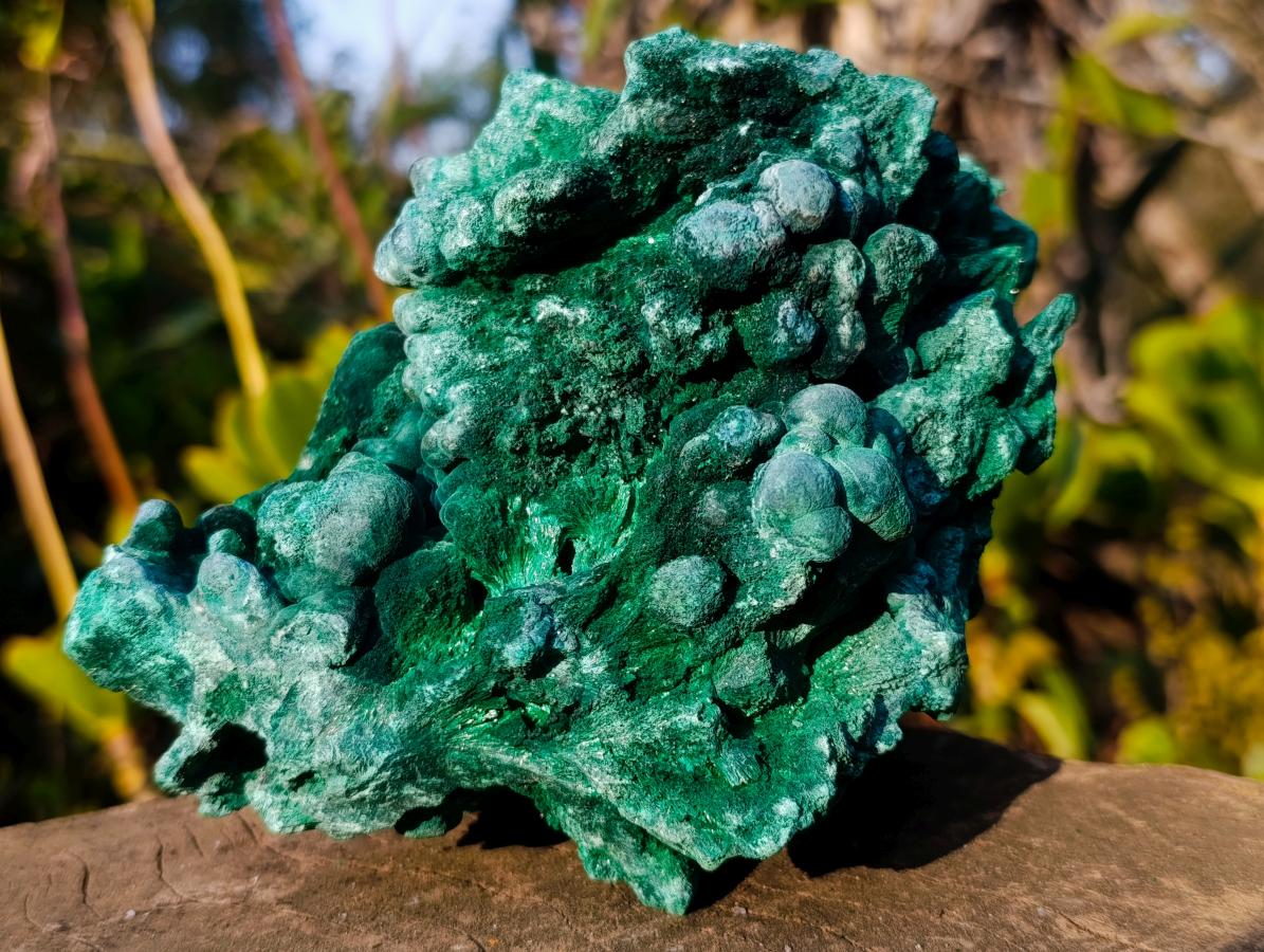 Natural Large Silky Malachite Specimen x 1 From Kasompe, Congo