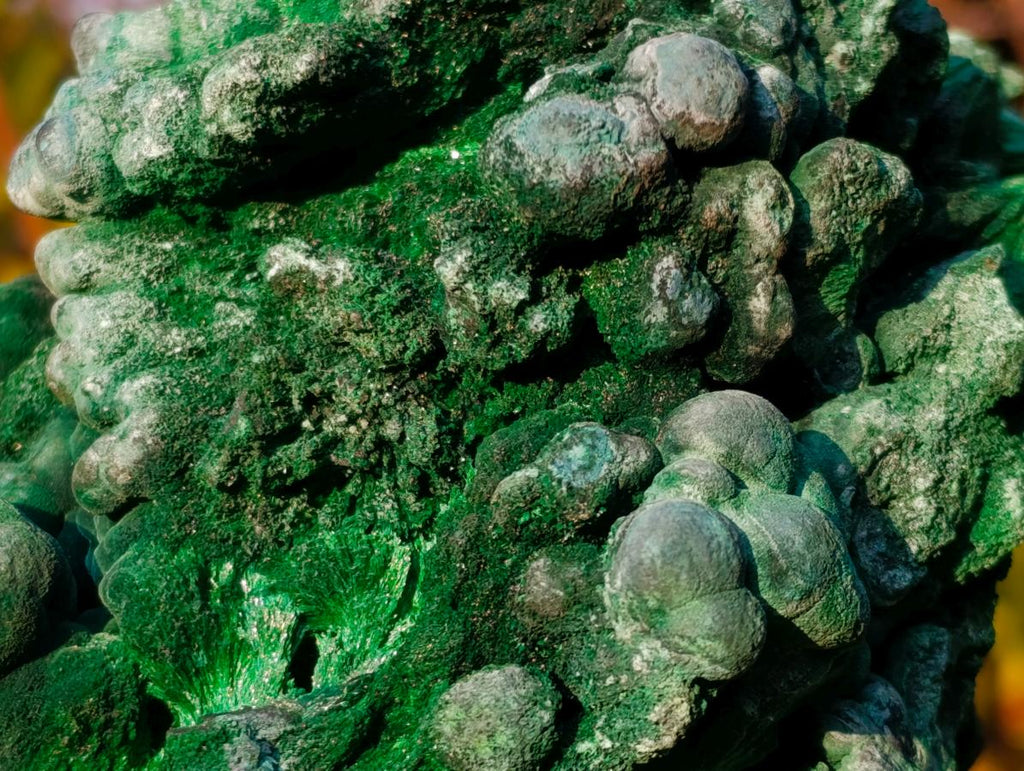Natural Large Silky Malachite Specimen x 1 From Kasompe, Congo