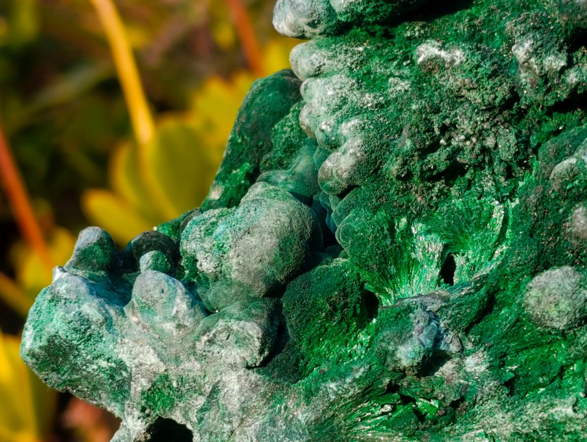 Natural Large Silky Malachite Specimen x 1 From Kasompe, Congo