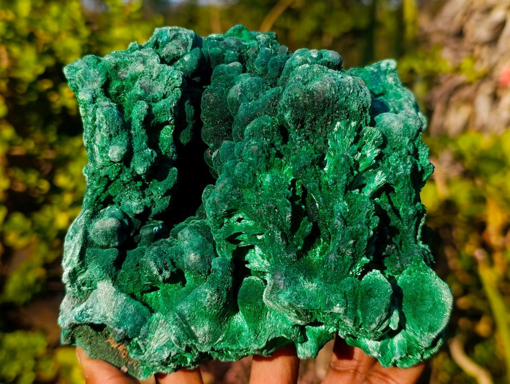Natural Large Silky Malachite Specimen x 1 From Kasompe, Congo