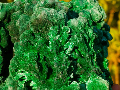 Natural Large Silky Malachite Specimen x 1 From Kasompe, Congo