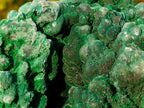 Natural Large Silky Malachite Specimen x 1 From Kasompe, Congo