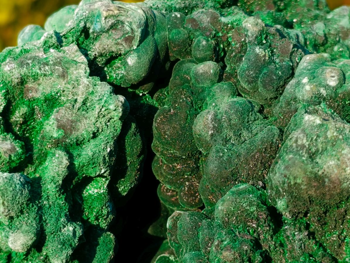 Natural Large Silky Malachite Specimen x 1 From Kasompe, Congo