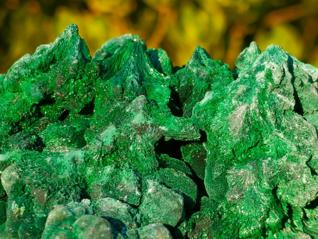 Natural Large Silky Malachite Specimen x 1 From Kasompe, Congo
