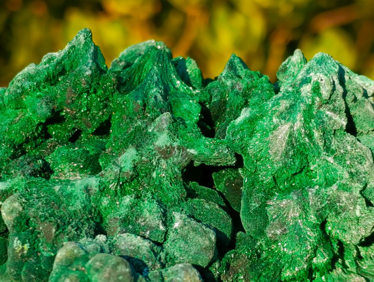 Natural Large Silky Malachite Specimen x 1 From Kasompe, Congo