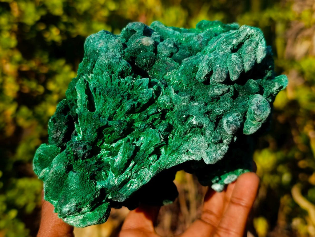 Natural Large Silky Malachite Specimen x 1 From Kasompe, Congo