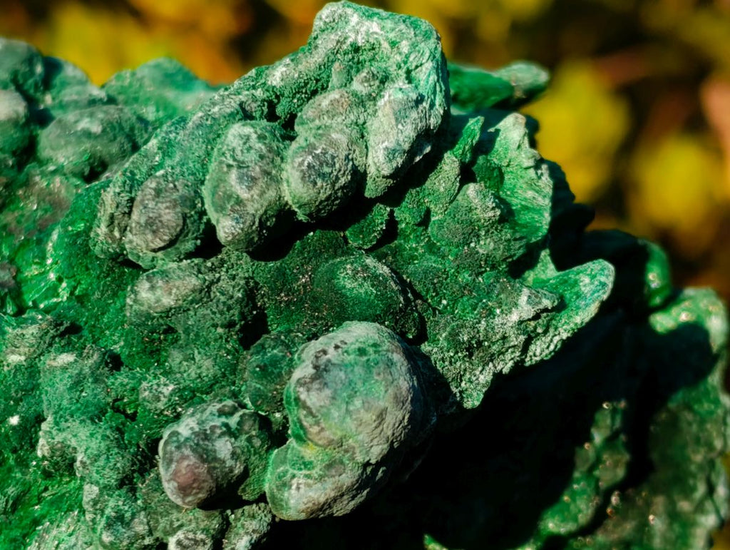 Natural Large Silky Malachite Specimen x 1 From Kasompe, Congo