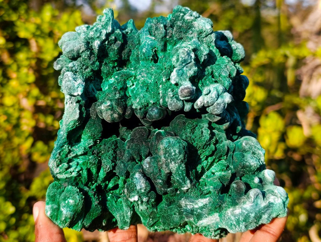 Natural Large Silky Malachite Specimen x 1 From Kasompe, Congo