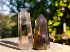 Polished Smokey Quartz Display Crystals x 12 From Madagascar