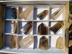 Polished Smokey Quartz Display Crystals x 12 From Madagascar
