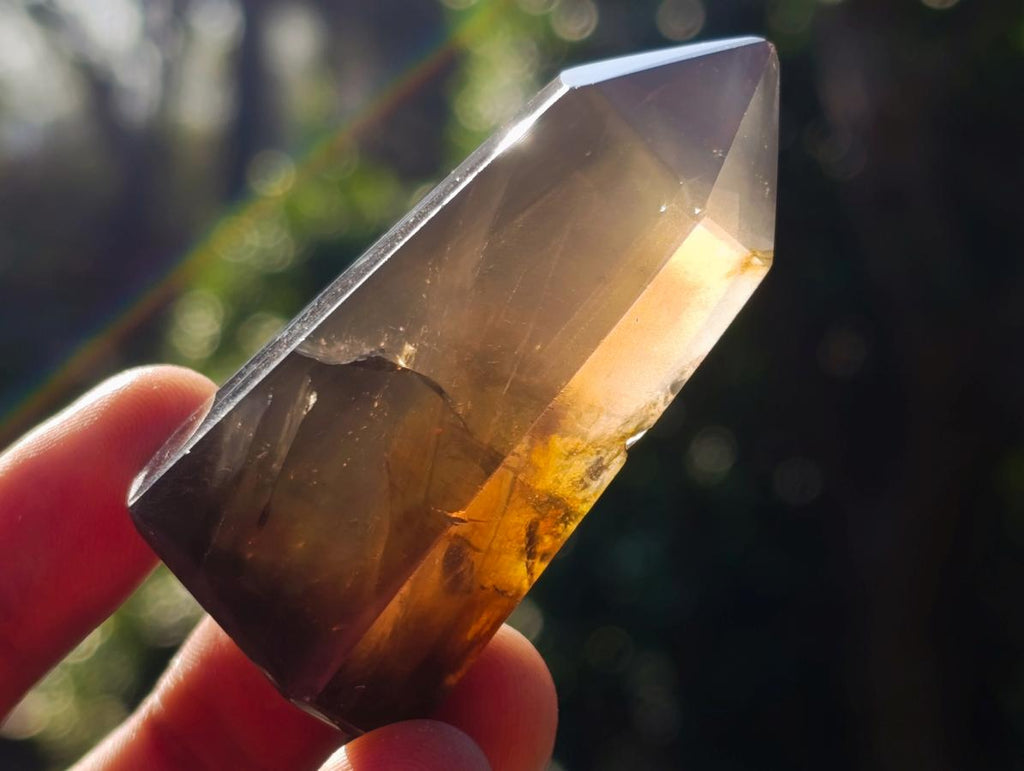 Polished Smokey Quartz Display Crystals x 12 From Madagascar
