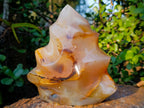 Polished XL Carnelian Agate Gemstone Flame x 1 From Madagascar