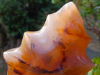 Polished XL Carnelian Agate Gemstone Flame x 1 From Madagascar