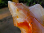 Polished XL Carnelian Agate Gemstone Flame x 1 From Madagascar