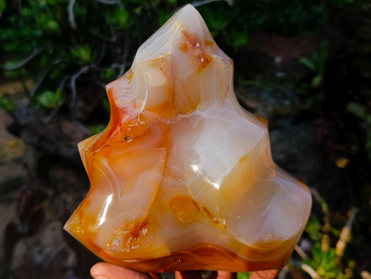 Polished XL Carnelian Agate Gemstone Flame x 1 From Madagascar