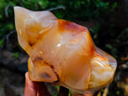 Polished XL Carnelian Agate Gemstone Flame x 1 From Madagascar