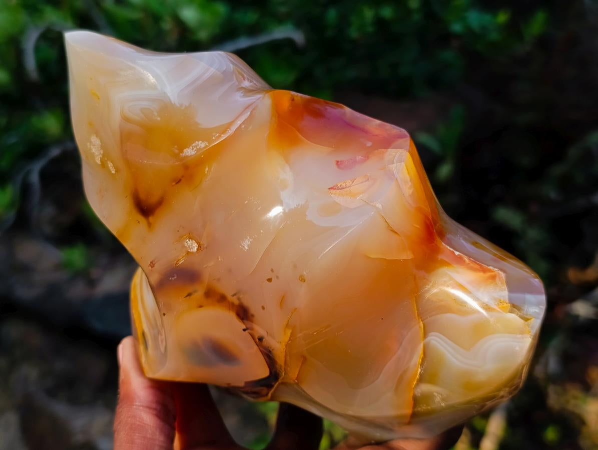 Polished XL Carnelian Agate Gemstone Flame x 1 From Madagascar