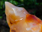 Polished XL Carnelian Agate Gemstone Flame x 1 From Madagascar