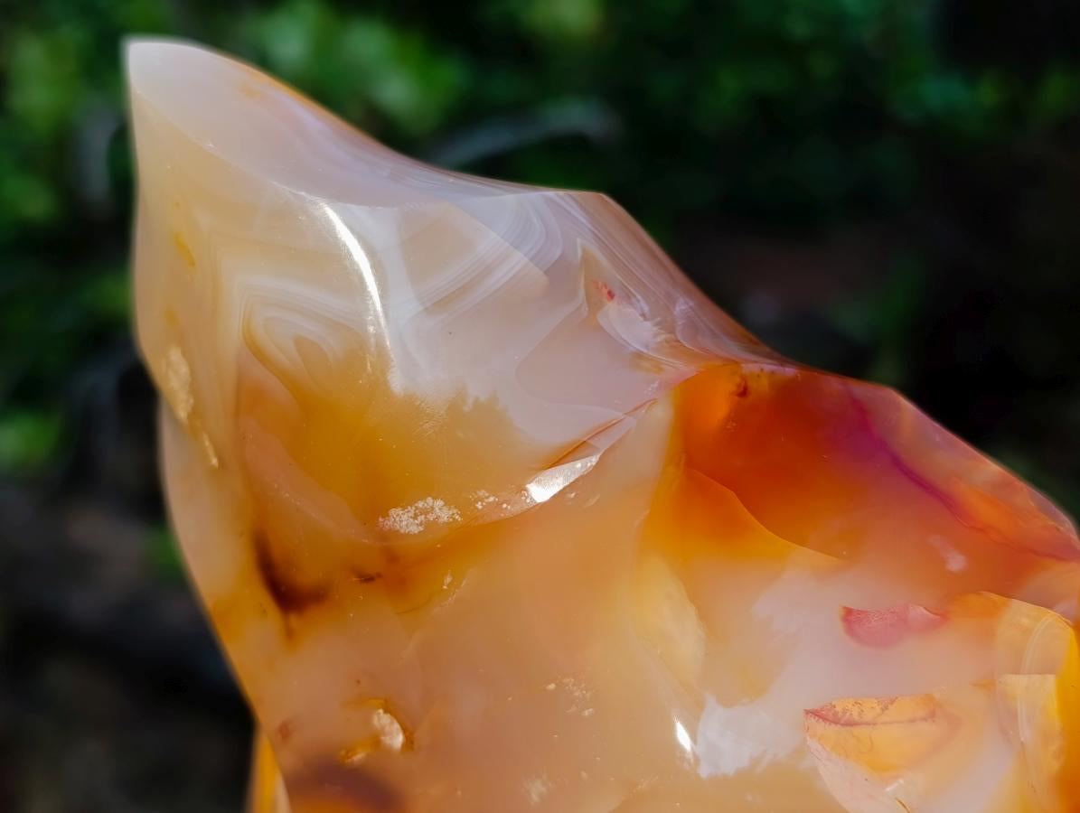 Polished XL Carnelian Agate Gemstone Flame x 1 From Madagascar
