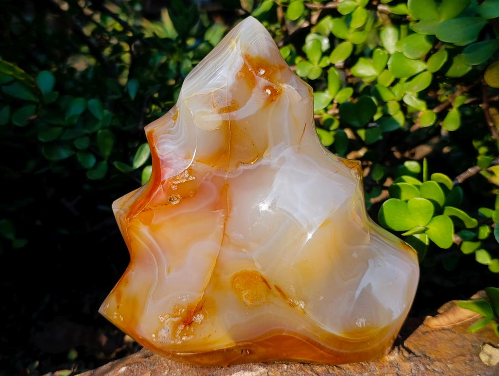 Polished XL Carnelian Agate Gemstone Flame x 1 From Madagascar