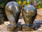 Polished Labradorite Door Handles x 6 From Madagascar